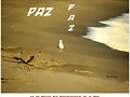 D&iacute;a de  la  Paz  y  la  NO  Violencia
