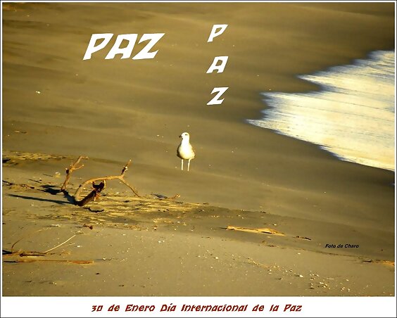 Día de  la  Paz  y  la  NO  Violencia