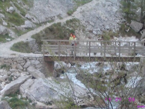 Bulnes