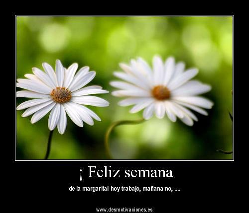 Lunes de nuevo... Feliz semana a todos!!!!