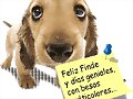 Viernes, Feliz fin de semana a todos!!!!!!