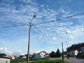 cami&ntilde;o do agro