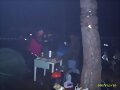 Pinguinos 2008