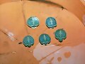 Trachemys Scripta Elegans de Agostos de 2002
