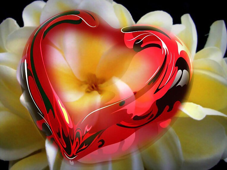 Corazón!!!