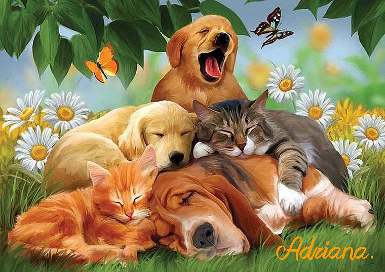 Amistad!!!