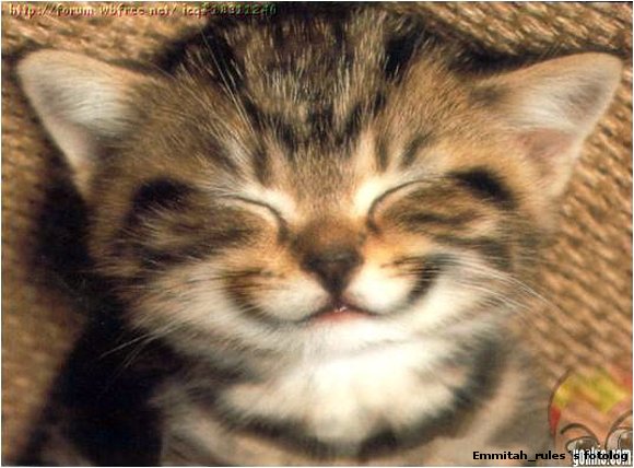 gatito jaja!!!!