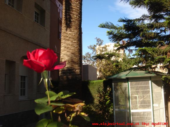 Mi Jardin