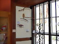 CASA LUJAN