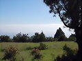 PUNTALLANA