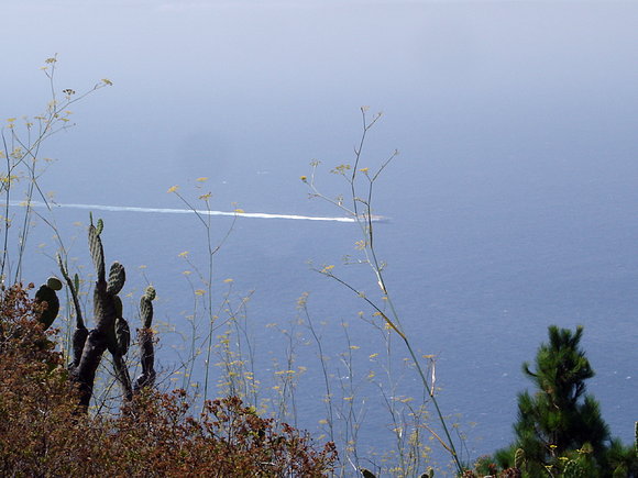 FUEGO EN LA ISLA DE LA PALMA
