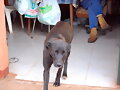 TENAGUA