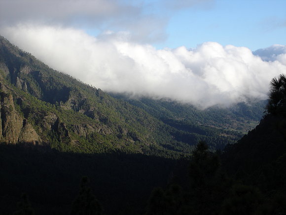 ISLA DE LA PALMA