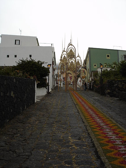 MAZO 2010