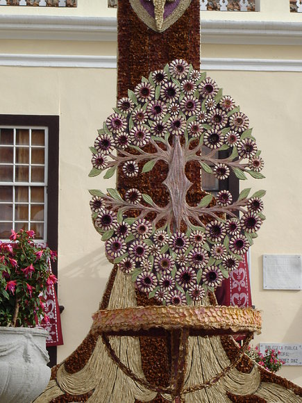 MAZO 2010