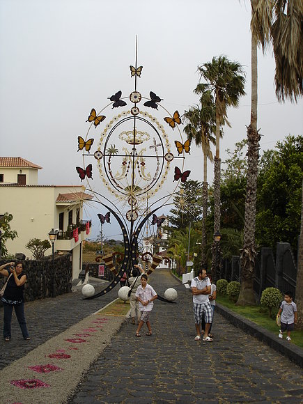 MAZO 2010