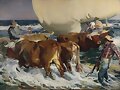 SOROLLA