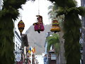 BAJADA DE LA VIRGEN 2010