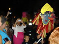 BAJADA DE LA VIRGEN 2010