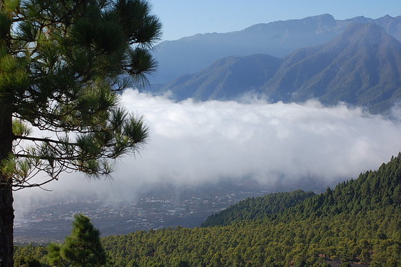 vista de la caledera de taburiente