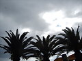 CAMPEONATO DE PARAPENTES EN LA ISLA DE LA PALMA