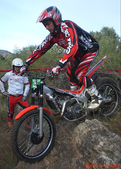 DAVID ALBEROLA