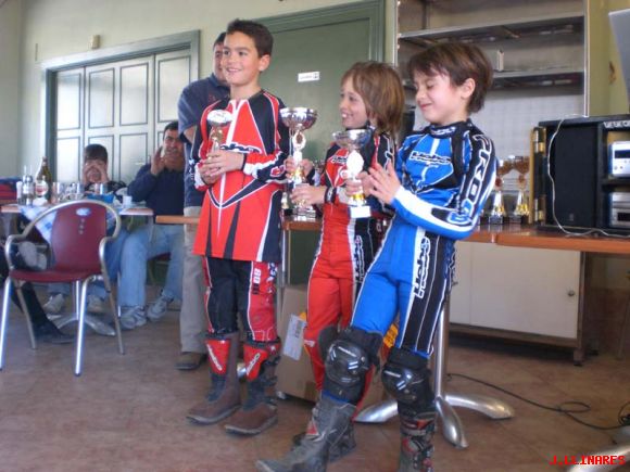 ALEVINES AUTOMATICAS