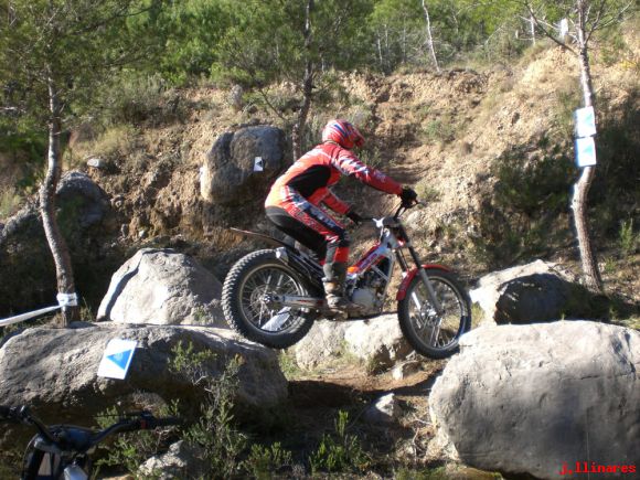FERNANDO LLOPIS