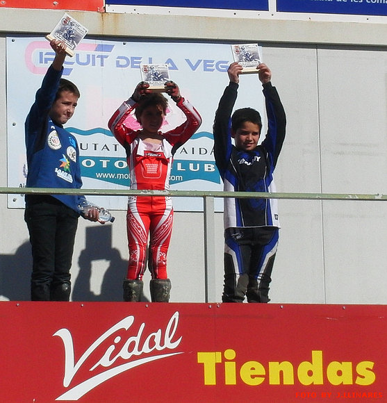 ALEVINES AUTOMATICAS