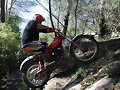 ELOY POYATO