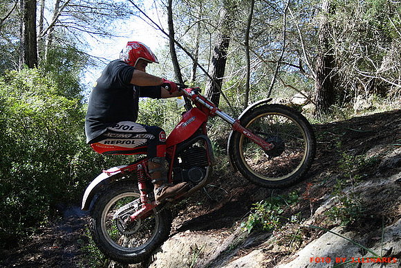 ELOY POYATO