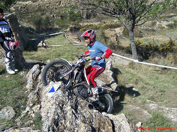 DAVID ALBEROLA
