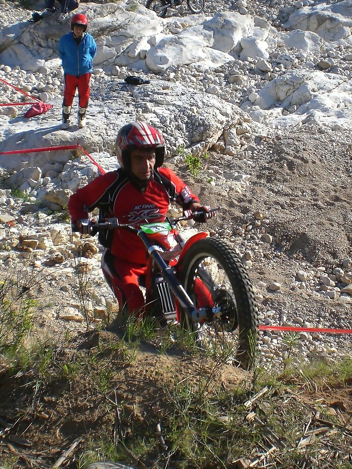 DAVID ALBEROLA