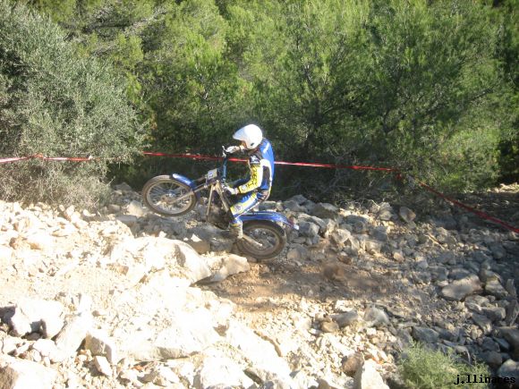 ADRIAN RIBES