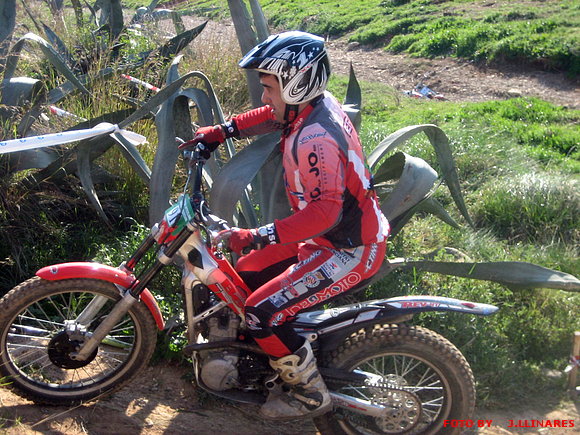 FERNANDO  LLOPIS
