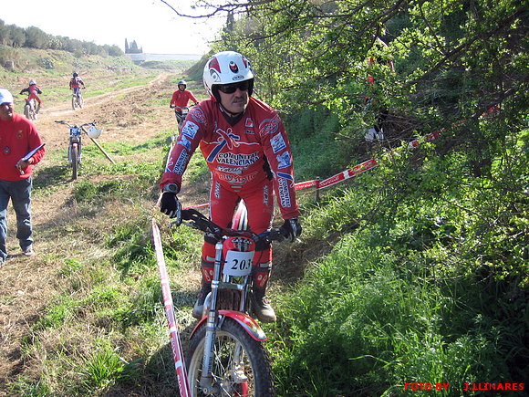 NESTOR