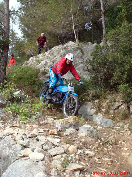 NESTOR