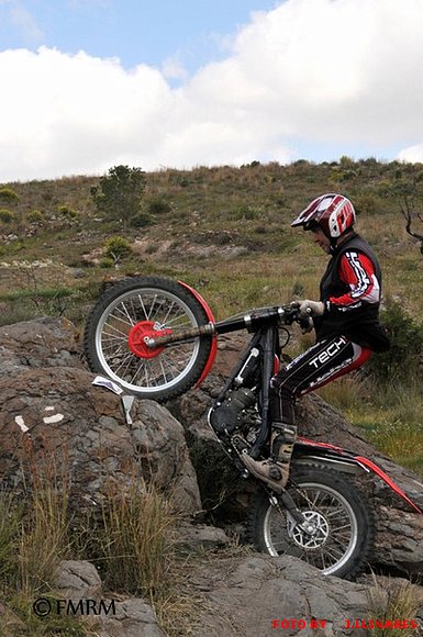 JAVIER  FERNANDEZ