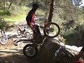 DAVID OLIVER