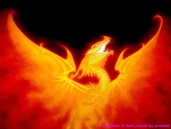 : : Dragon : :