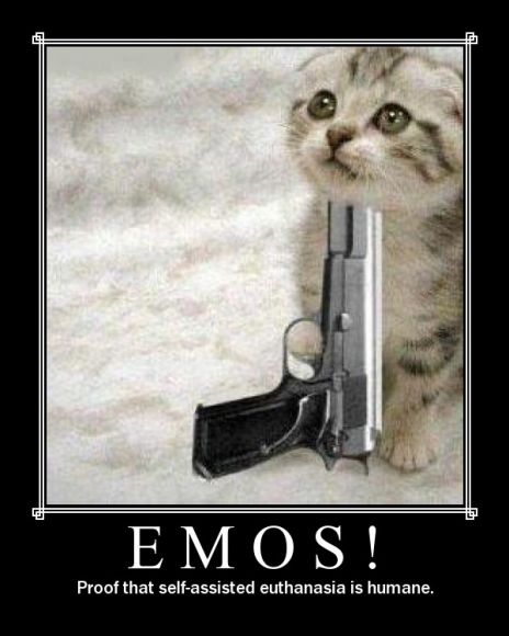 Pobre gatito...