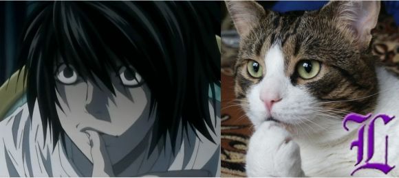 Parecidos razonables
