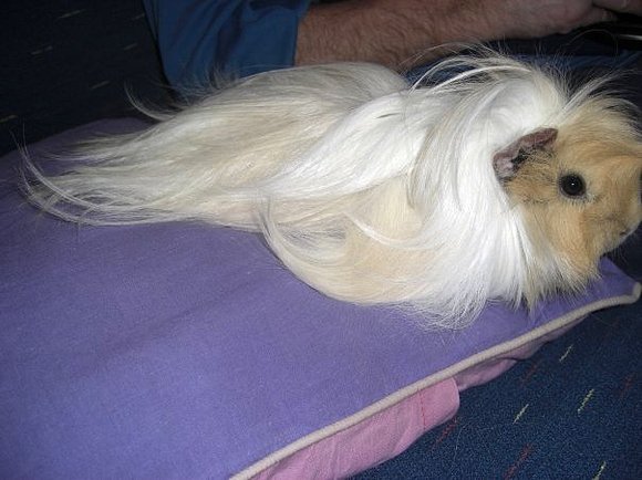 inka