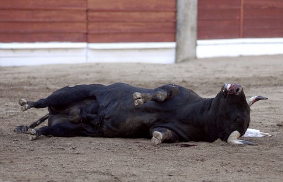 No a las corridas de toros!