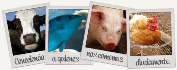 A quienes nos comemos diariamente... ù_ú