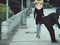 XD