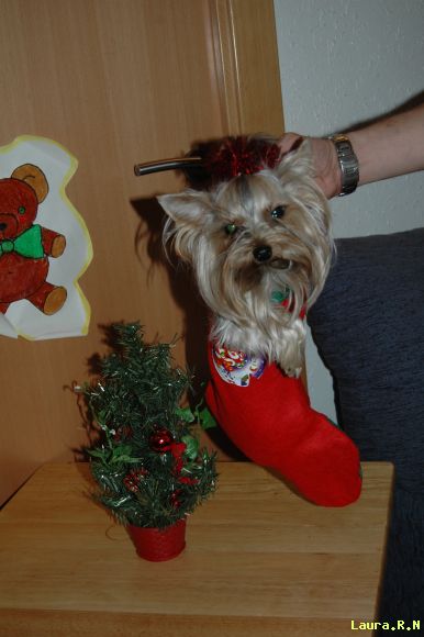 + de navidad