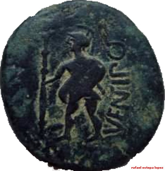 Reverso moneda ventipo
