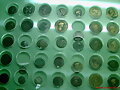 Monedas encontradas por Osuna