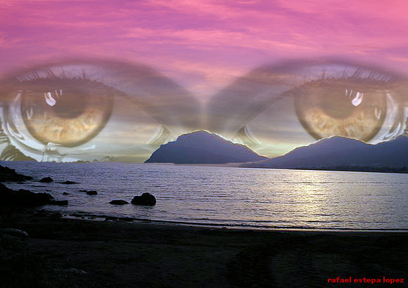 Composicion ojos